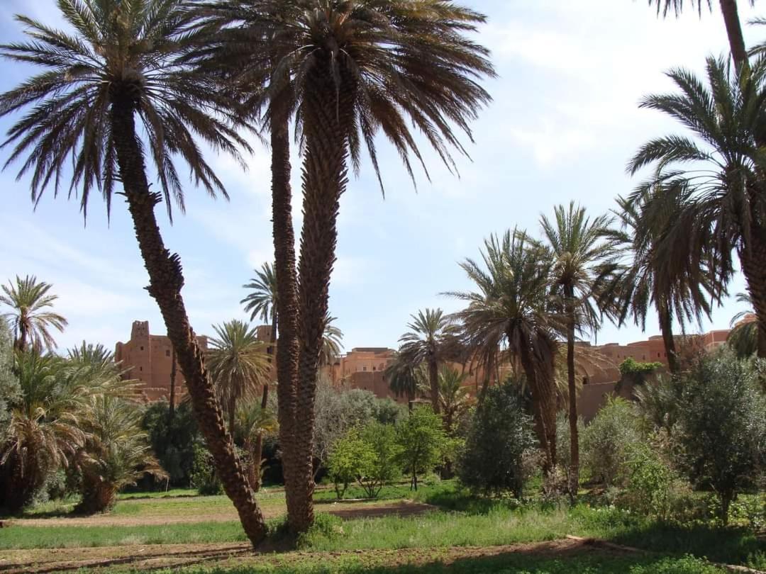 Amoudou Lodge Camp Tissint Exterior photo